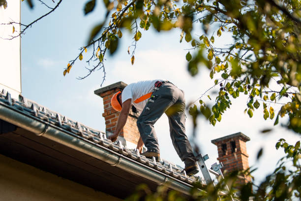 Best Roof Waterproofing Services  in Lynchburg, VA