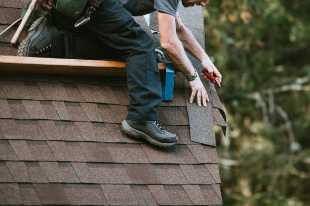 Best Roof Gutter Cleaning  in Lynchburg, VA
